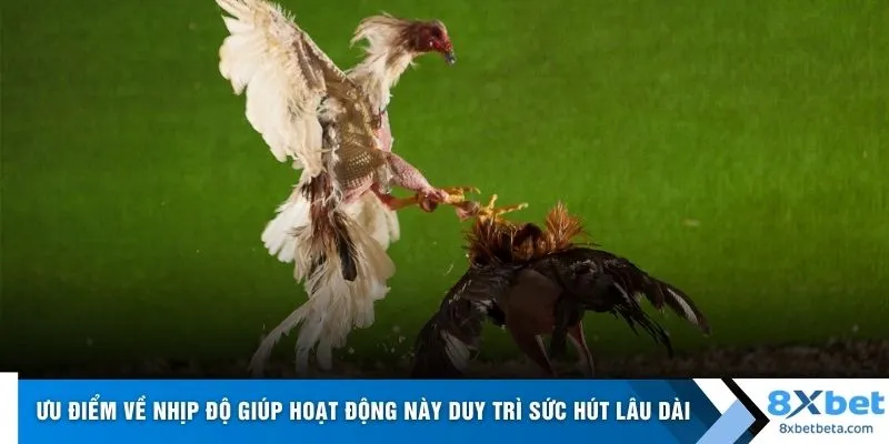 Ưu điểm về nhịp độ giúp hoạt động này duy trì sức hút lâu dài